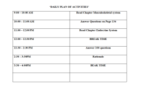Daily plan of Activities